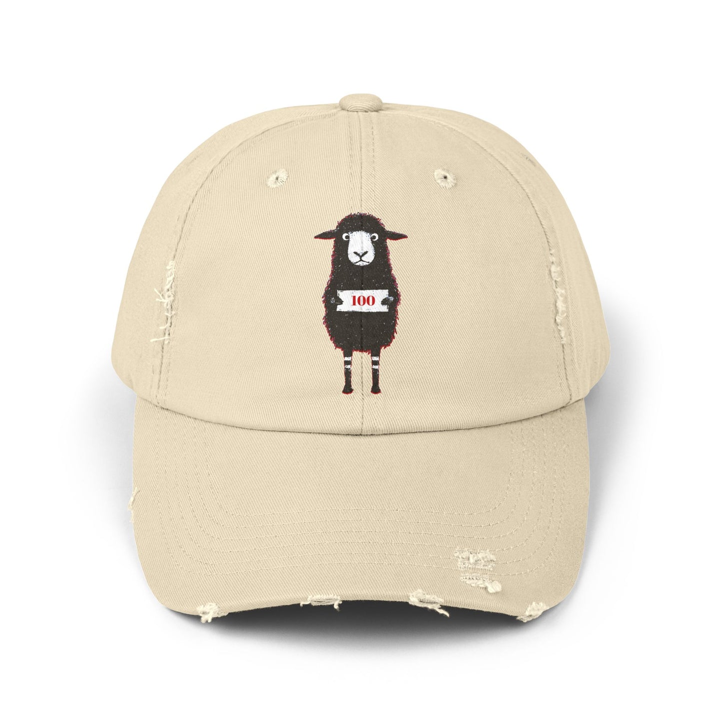 99 for the 1 Distressed Youth Cap β Found and Loved