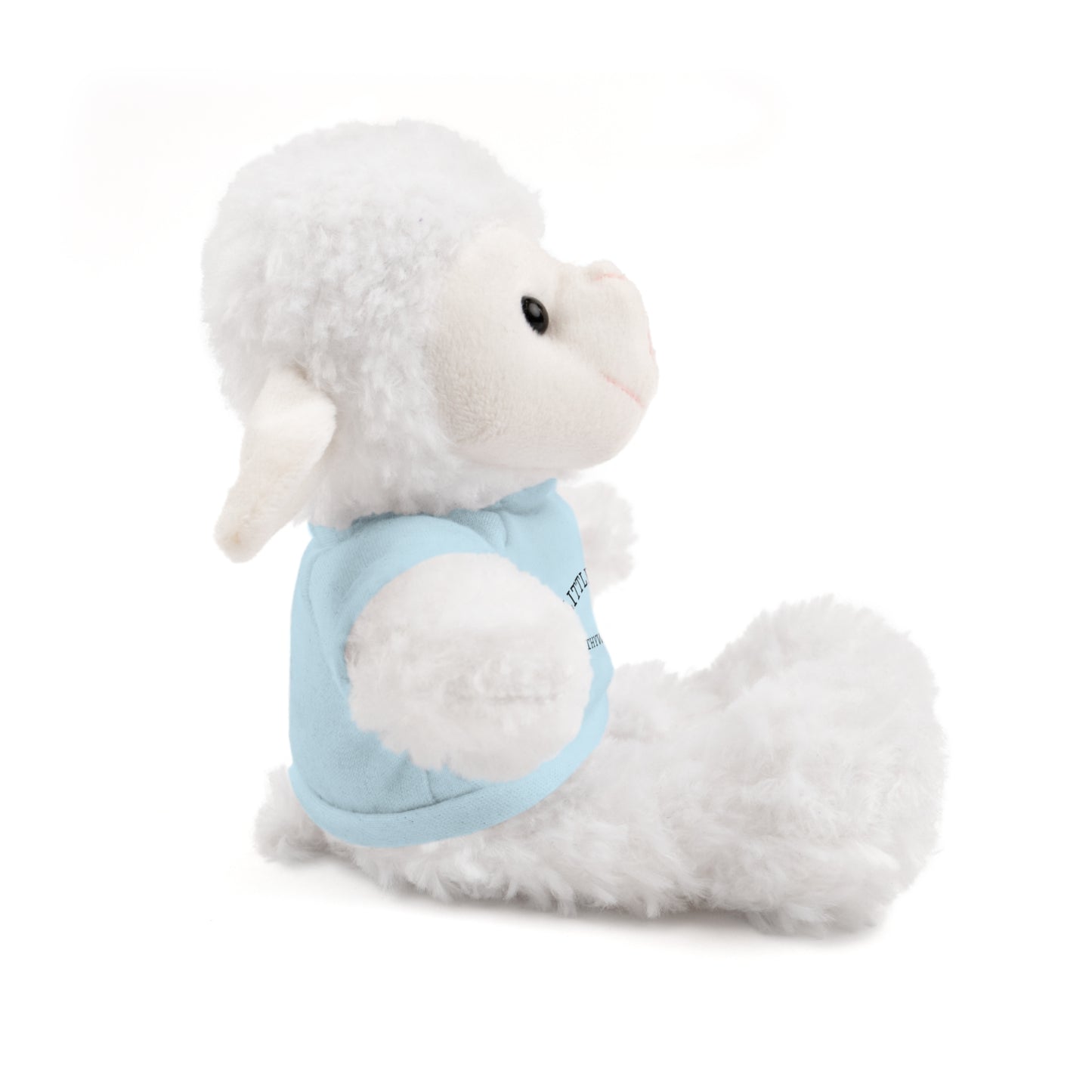 Little Lamb Stuffed Animal – Held by the Shepherd