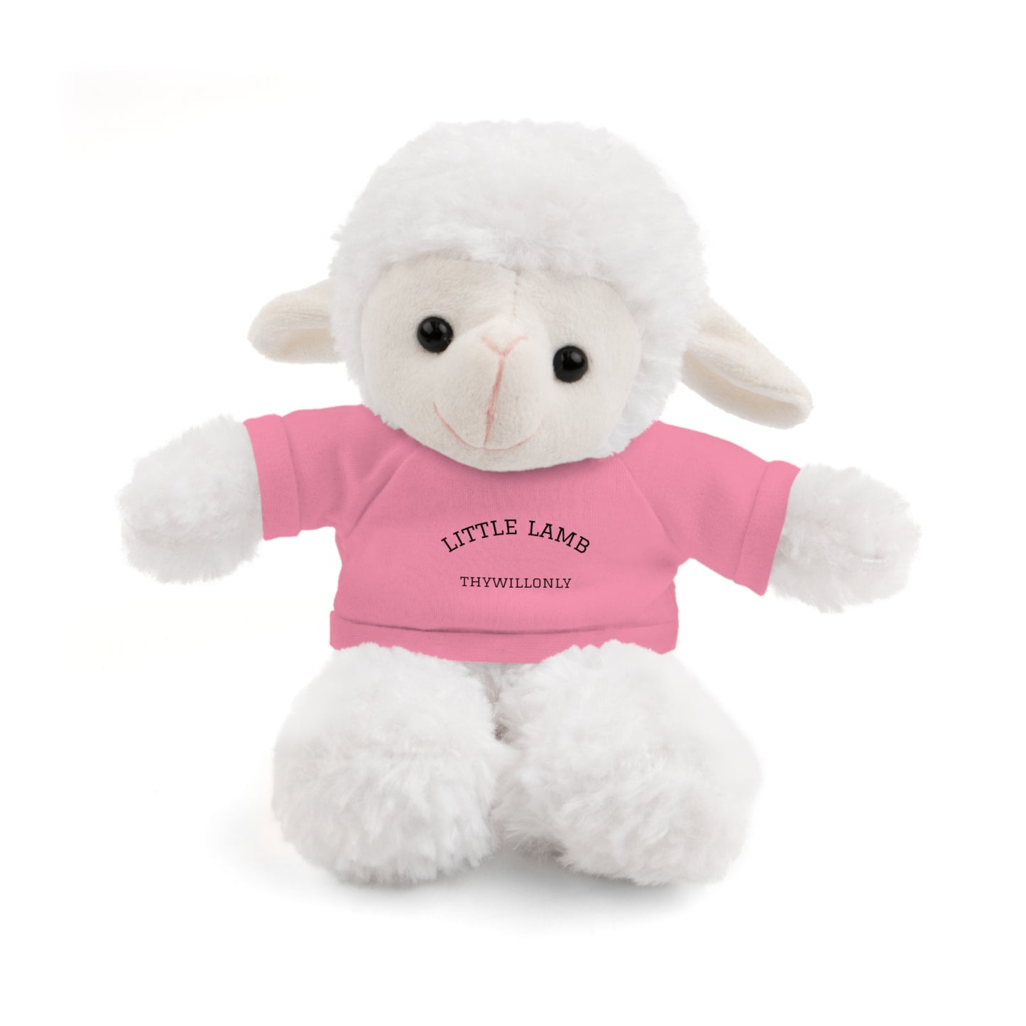 Little Lamb Stuffed Animal – Held by the Shepherd