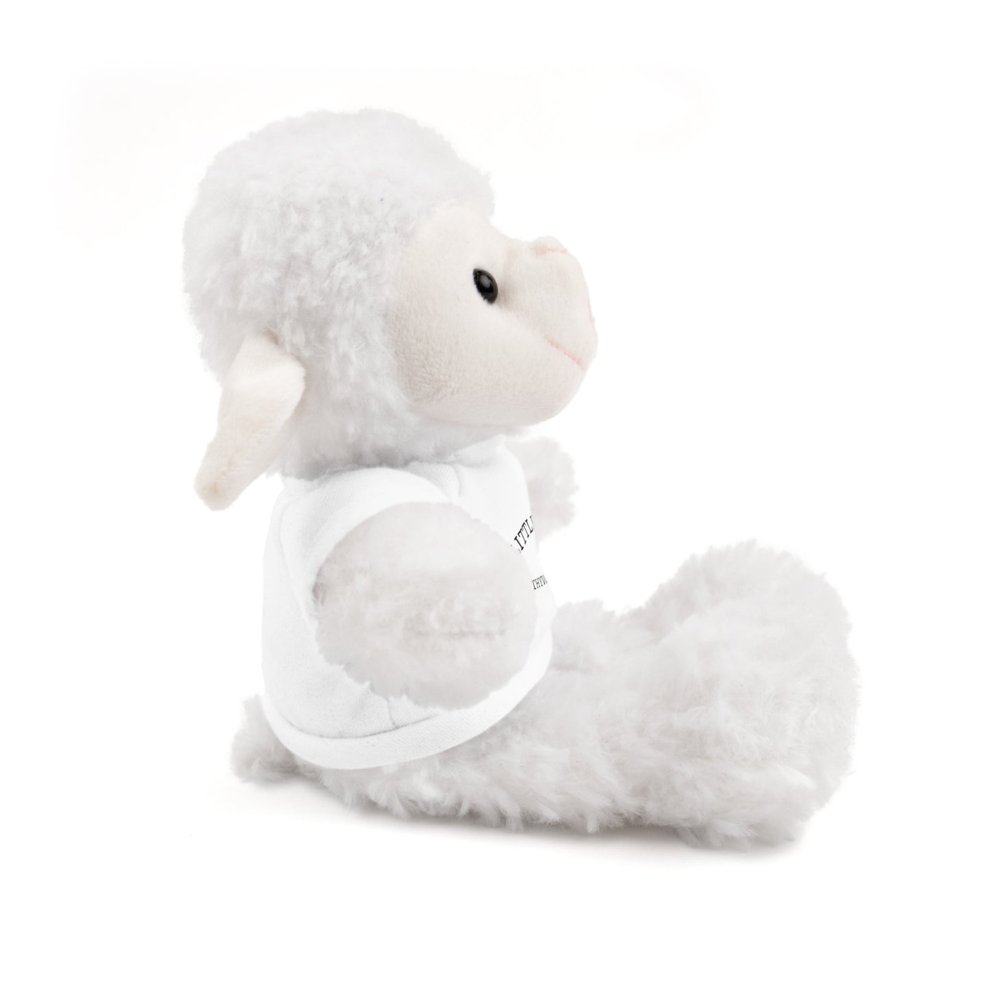 Little Lamb Stuffed Animal – Held by the Shepherd