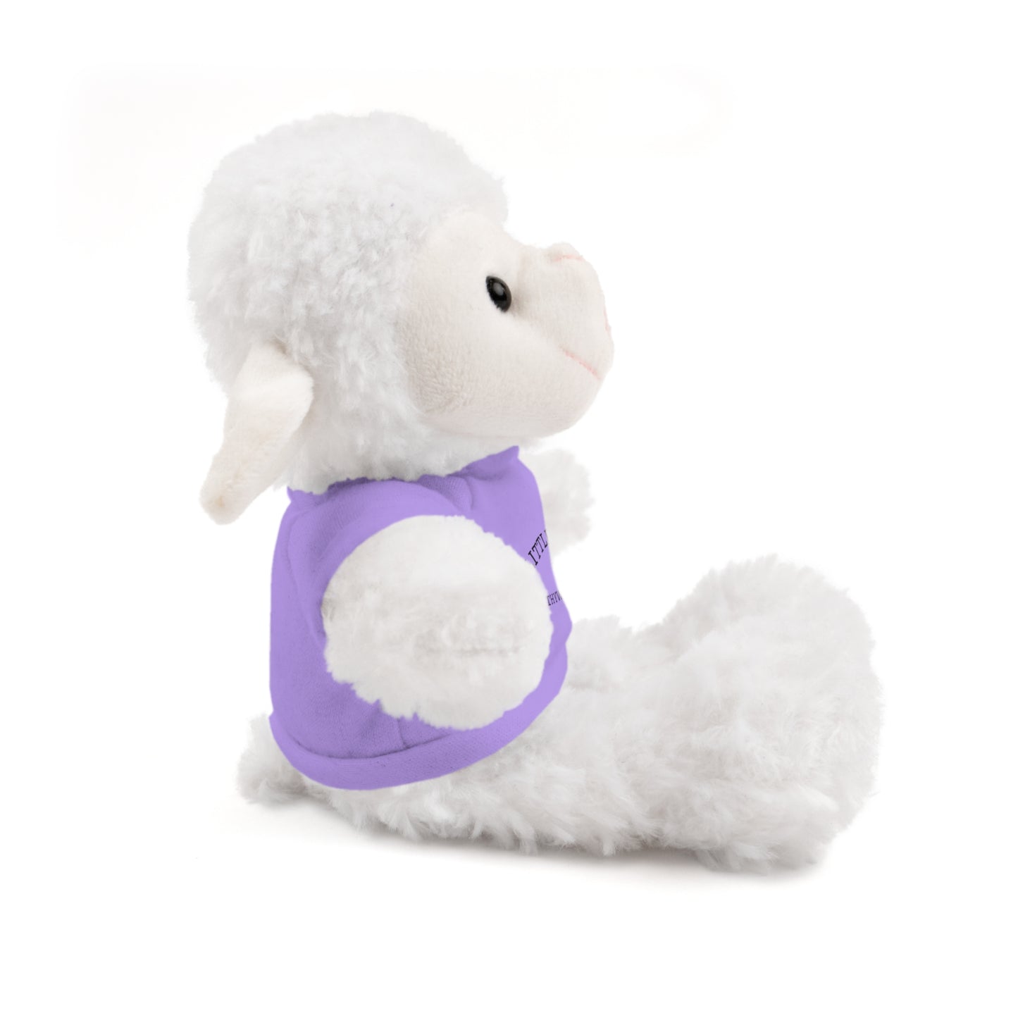 Little Lamb Stuffed Animal – Held by the Shepherd